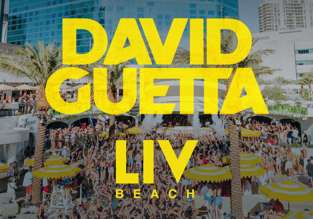 David Guetta LIVBeach logo over crowd